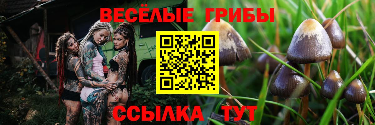 Псилоцибиновые грибы мицелий Обь