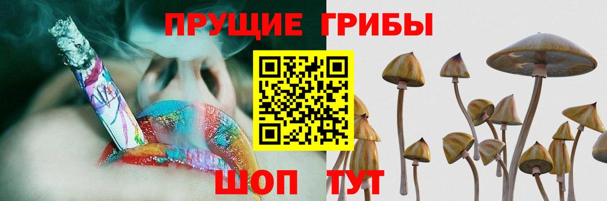 Псилоцибиновые грибы прущие грибы  Вход с VPN  Обь  Псилоцибиновые грибы прущие грибы 